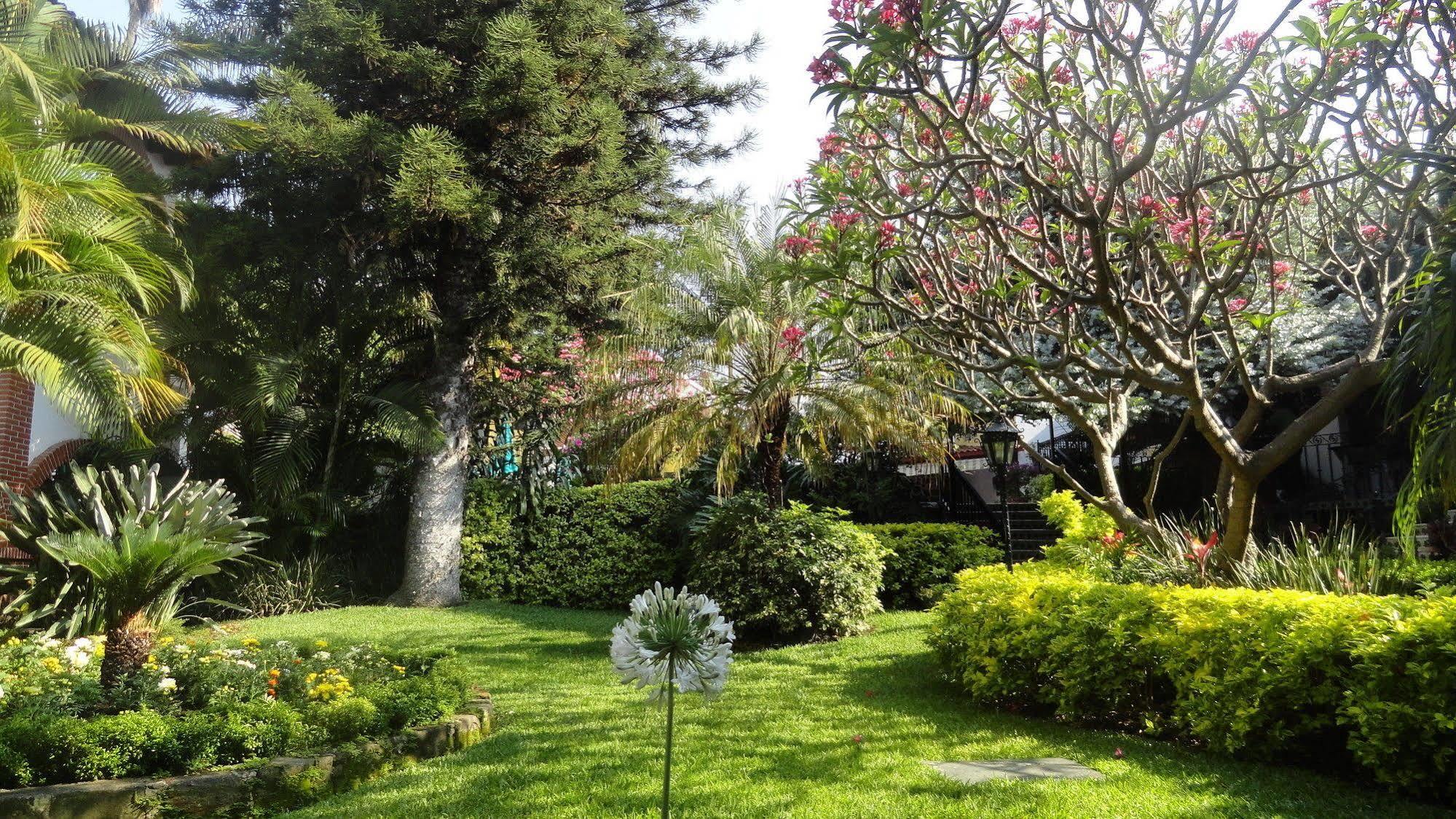 Hotel Vista Hermosa Cuernavaca Zewnętrze zdjęcie